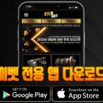 씨벳 도메인